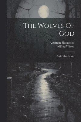 bokomslag The Wolves Of God