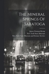 bokomslag The Mineral Springs Of Saratoga