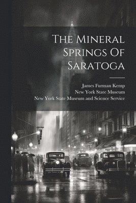 The Mineral Springs Of Saratoga 1