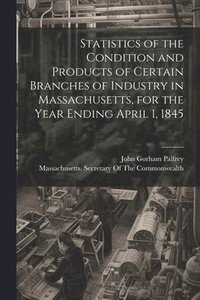 bokomslag Statistics of the Condition and Products of Certain Branches of Industry in Massachusetts, for the Year Ending April 1, 1845
