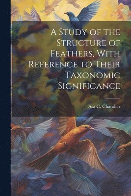 A Study of the Structure of Feathers, With Reference to Their Taxonomic Significance 1