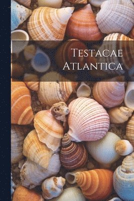 bokomslag Testacae Atlantica