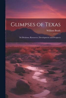 bokomslag Glimpses of Texas