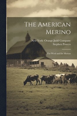 American Merino