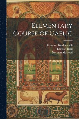 bokomslag Elementary Course of Gaelic