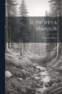 bokomslag Il Profeta Mansr