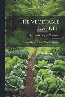 Vegetable Garden 1
