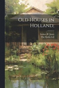 bokomslag Old Houses in Holland;
