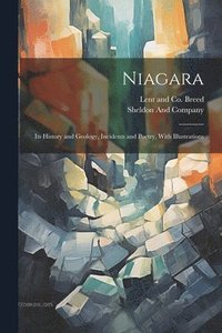 bokomslag Niagara