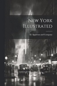 bokomslag New York Illustrated
