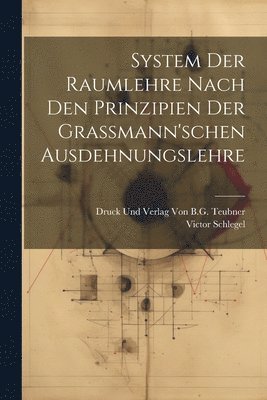 bokomslag System der Raumlehre Nach den Prinzipien der Grassmann'schen Ausdehnungslehre