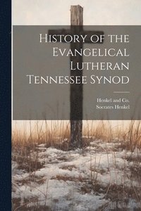 bokomslag History of the Evangelical Lutheran Tennessee Synod