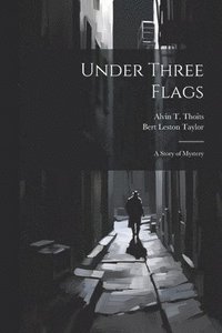 bokomslag Under Three Flags