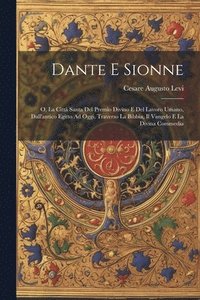 bokomslag Dante E Sionne