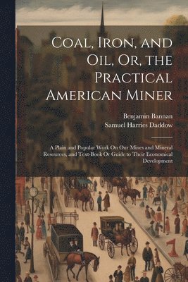 bokomslag Coal, Iron, and Oil, Or, the Practical American Miner