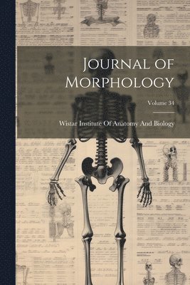 Journal of Morphology; Volume 34 1