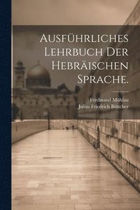 bokomslag Ausfhrliches Lehrbuch der hebrischen Sprache.