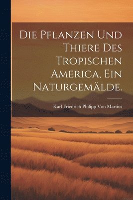 bokomslag Die Pflanzen und Thiere des tropischen America, ein Naturgemlde.