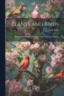 Lady Lady - Plants and Birds, Häftad