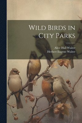 bokomslag Wild Birds in City Parks