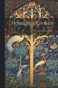 bokomslag Homer's Odyssey