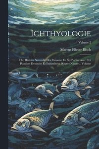 bokomslag Ichthyologie; ou, Histoire naturelle des poissons. En six parties avec 216 planches dessines et enlumines d'aprs nature .. Volume; Volume 2
