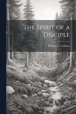 bokomslag Spirit of a Disciple