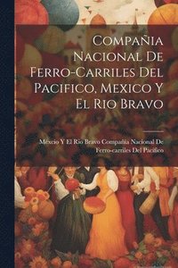 bokomslag Compañia Nacional De Ferro-Carriles Del Pacifico, Mexico Y El Rio Bravo