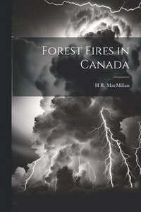 bokomslag Forest Fires in Canada