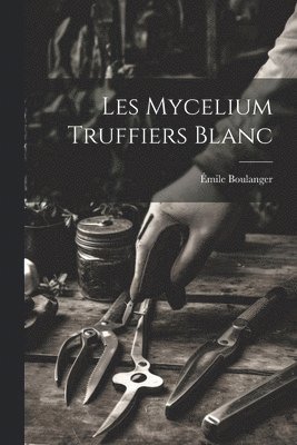 bokomslag Les mycelium truffiers blanc