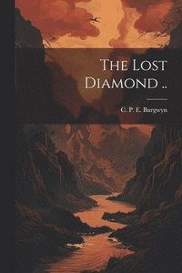 bokomslag The Lost Diamond ..