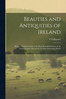 bokomslag Beauties and Antiquities of Ireland