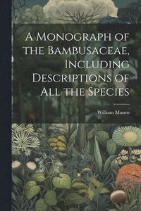 bokomslag Monograph of the Bambusaceae, Including Descriptions of all the Species