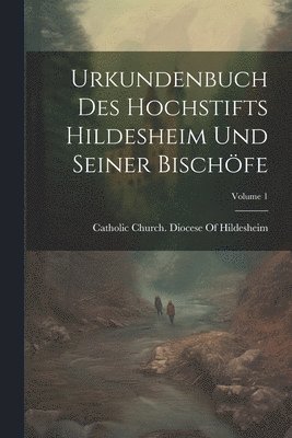 bokomslag Urkundenbuch Des Hochstifts Hildesheim Und Seiner Bischfe; Volume 1