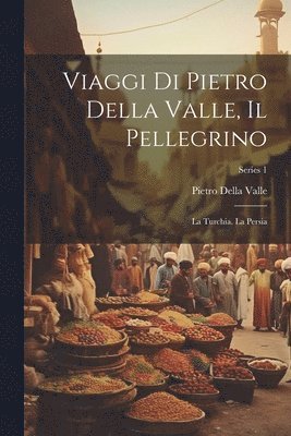 bokomslag Viaggi Di Pietro Della Valle, Il Pellegrino: La Turchia. La Persia; Series 1