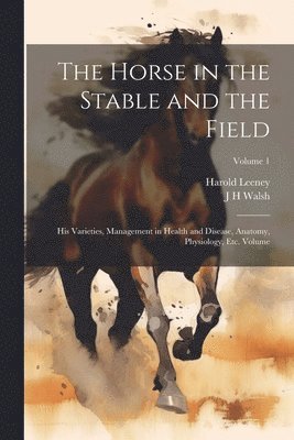 The Horse in the Stable and the Field 1