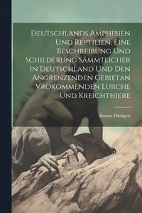 bokomslag Deutschlands Amphibien und Reptilien. Eine Beschreibung und Schilderung smmtlicher in Deutschland und den angrenzenden Gebietan vrokommenden Lurche und Kreichthiere