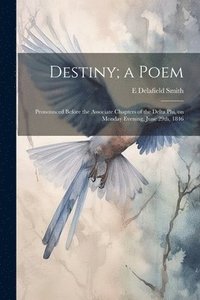 bokomslag Destiny; a Poem