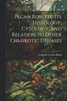 Pecan Rosette, its Histology, Cytology, and Relation to Other Chlorotic Diseases