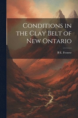 bokomslag Conditions in the Clay Belt of New Ontario