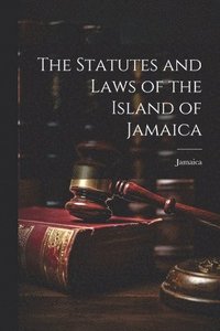 bokomslag The Statutes and Laws of the Island of Jamaica