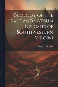 bokomslag Geology of the Salt and Gypsum Deposits of Southwestern Virgini