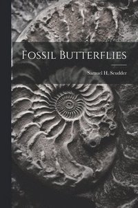 bokomslag Fossil Butterflies