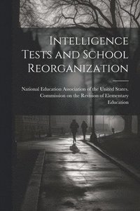 bokomslag Intelligence Tests and School Reorganization