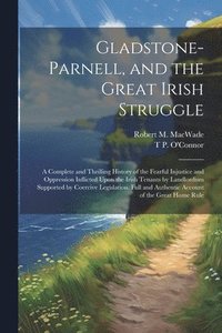 bokomslag Gladstone-Parnell, and the Great Irish Struggle