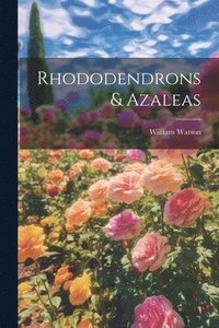 bokomslag Rhododendrons & Azaleas