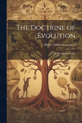 bokomslag The Doctrine of Evolution