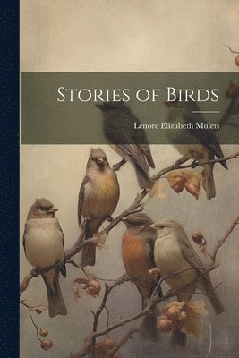 bokomslag Stories of Birds