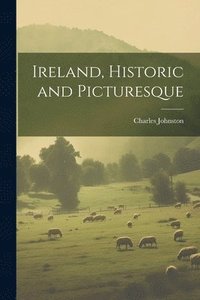 bokomslag Ireland, Historic and Picturesque