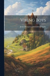 bokomslag Viking Boys